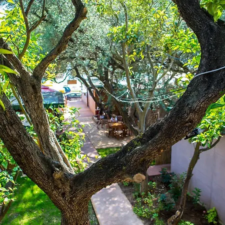 Hotel Delight Dhermi
